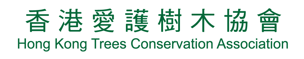 hktca logo